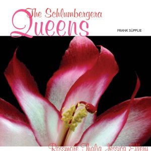 Paper digital: The Queens Schlumbergera