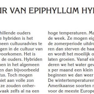 Paper digital: De cultuur van Epiphyllum hybriden