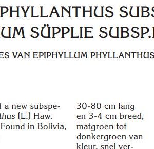 Paper digital: new description Epiphyllum phyllanthus subsp cleistogamum