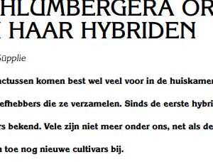 Paper digital: Schlumbergera orssichiana en haar hybriden