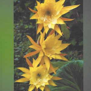 Epiphyllum book # 1