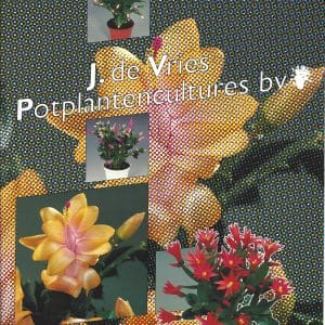 Colourbrochure J. de Vries bv