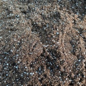 x Soil for Epiphyllums (only EU, excluding Malta & Cyprus)